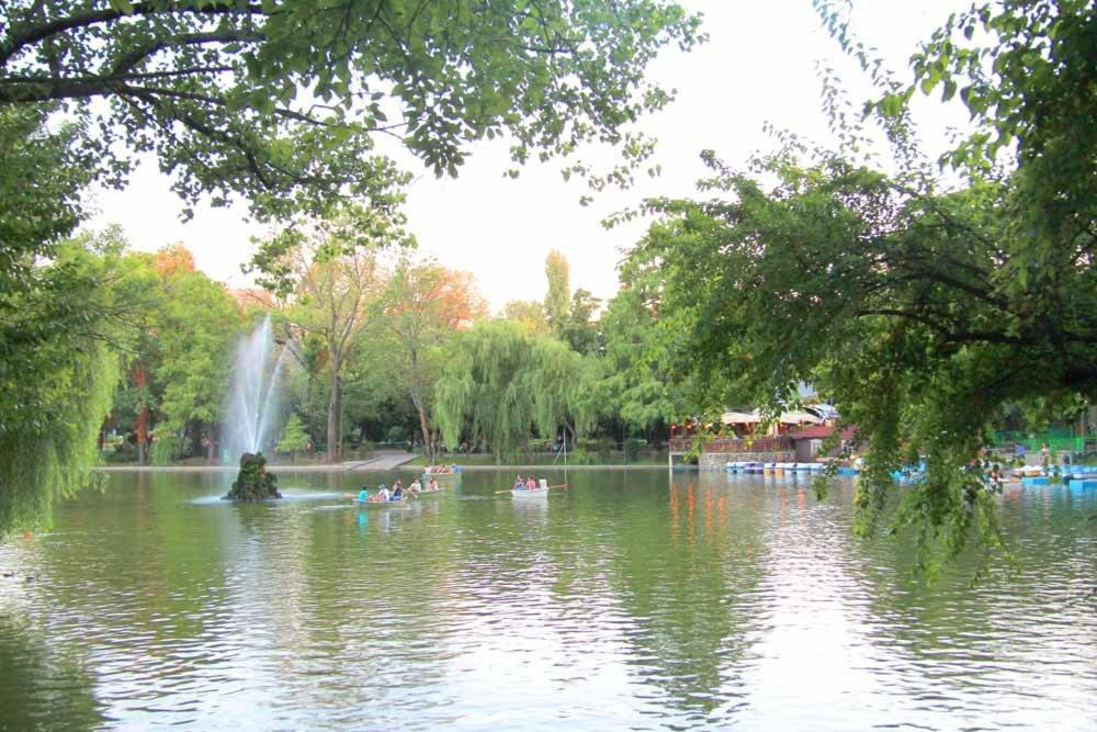 Central Park Bucarest Habitación foto